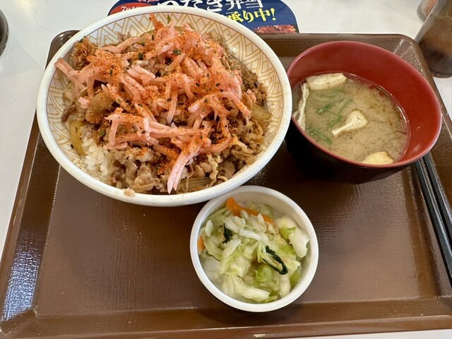 Sukiya Hyakunana Juichigo Mino Imamiya Ten