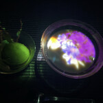 EN TEA HOUSE 幻花亭 チームラボボーダレス麻布台ヒルズ - アイスティーはカモミールのミント感がよりはっきりして爽やか。但し、ミルク入りなので喉の渇きは治らないので注意。水とか出ません