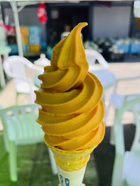 NORTH FUN - 山部（その他）の写真