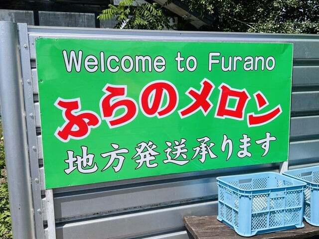 NORTH FUN - 山部（その他）の写真