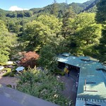 澤乃井園　清流ガーデン - 売店と食事できる場所を上から見たところ