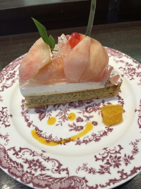 ARROW TREE - KYOTO SANJYO