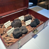 Terres de Truffes, Tokyo - 