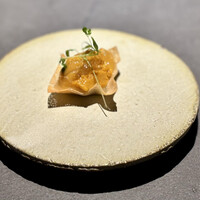 YANAGI TePPaN UNBORN GASTRONOMY - 