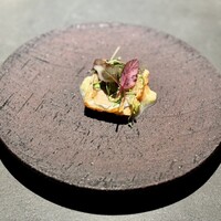 YANAGI TePPaN UNBORN GASTRONOMY - 