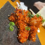 ANIKU produced by 新井屋 - 