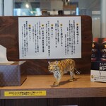 ジンジャータイガー - 