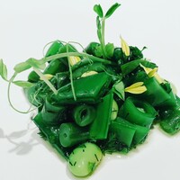 ブレストンコート ユカワタン - 