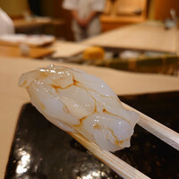 鮓 村瀬 - アオリイカ