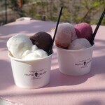 FRUTTA GELATO - チョコ＆ミルク　3種のベリー＆白桃　カップ