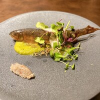 オッジ ダルマット 西麻布店 - 