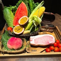 オッジ ダルマット 西麻布店 - 