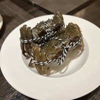 家寶 跳龍門 - 