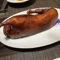 家寶 跳龍門 - 