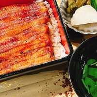 うなぎ 目白ぞろ芽 - 