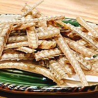 うなぎ 目白ぞろ芽 - 