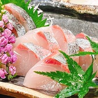 うなぎ 目白ぞろ芽 - 