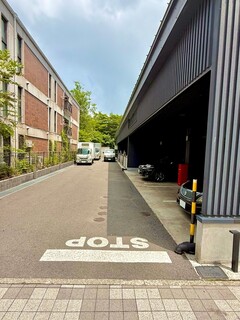 Jose Luis Karuizawa - 