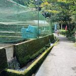 山の神釣り堀センター - 