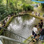 山の神釣り堀センター - 