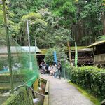 山の神釣り堀センター - 