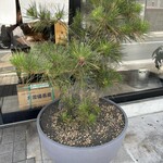 らぁ麺や ふぢとら  - 