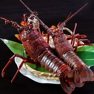 鮮度抜群！しっかりと伊勢をご堪能ください！