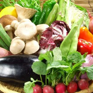 女性が嬉しい産地直送!!