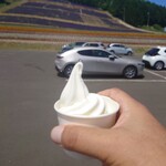 北星山ラベンダー園 - べっかいミルクソフトクリーム￥450　ピントが！