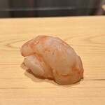 鮨 めい乃 - ボタンエビ