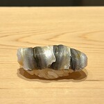 鮨 めい乃 - 新子（天草より・3枚使い）
      この時期だけの風物詩、締めたての新子の柔らかさが際立ちます。