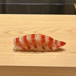 鮨 めい乃 - 車海老（約35g・レアな火入れ）
      鮨めい乃さんの真骨頂、この火入れは他では口にした事はありません！
      車海老本来の甘みが、シャリのまろやかな酸に下支えされいいお味♪