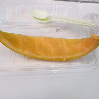 夕張メロンドーム_0