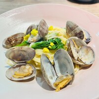 セルサルサーレ - 