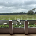 小林牧場 おかしなソフトクリーム工房 - 