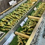 大王わさび農場 - 