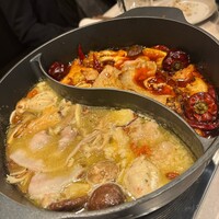 CINA New Modern Chinese - 