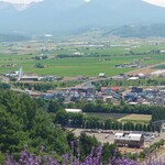 北星山ラベンダー園 - 中富良野町内と十勝岳