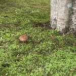 ザ・テラス・サクマ - 