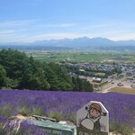 北星山ラベンダー園 - 