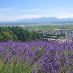 北星山ラベンダー園 - その２　拡大
