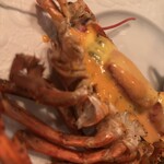 Le Club des Vins Hermitage - 