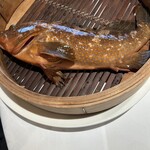 308945865 - アコウ