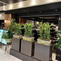 ピッツェリア ダ チーボ コレド日本橋店 - 