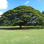 Moanalua Gardens  - 