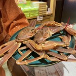 橋津屋 - 活けがに２匹