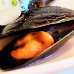 トラットリア ガバチョ - ムール貝の白ワイン蒸し②