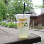 MORI+ - ドリンク写真:はちみつレモネードソーダ