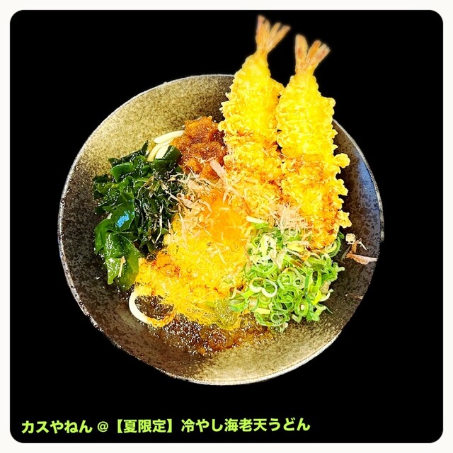 京風讃岐かすうどん専門店 カスやねん 京都本店 - 蚕ノ社/うどん