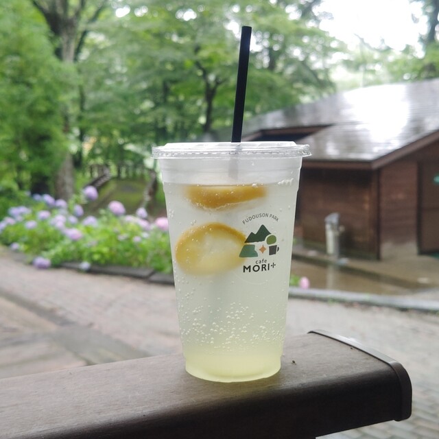 MORI+（モリプラス）丸森町 | 不動尊公園のジューススタンド